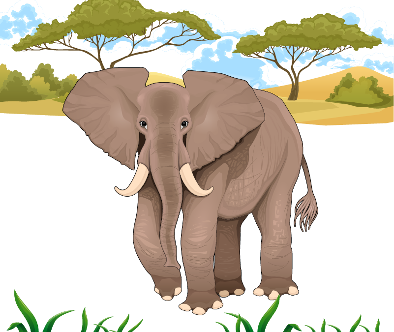 Jungle Elephant