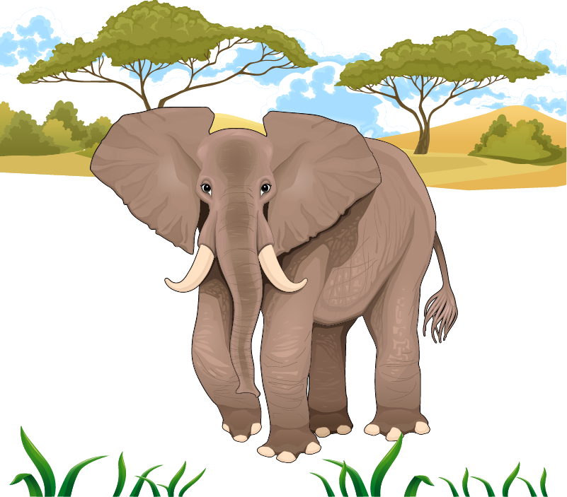 Jungle Elephant